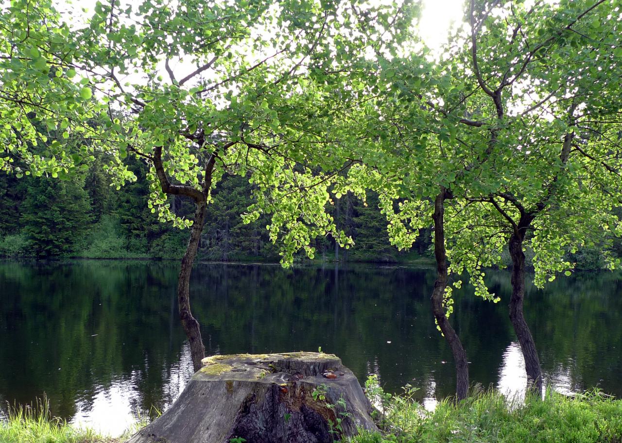 44+ 4 Teiche Wanderung Neustadt, A great circular route through the