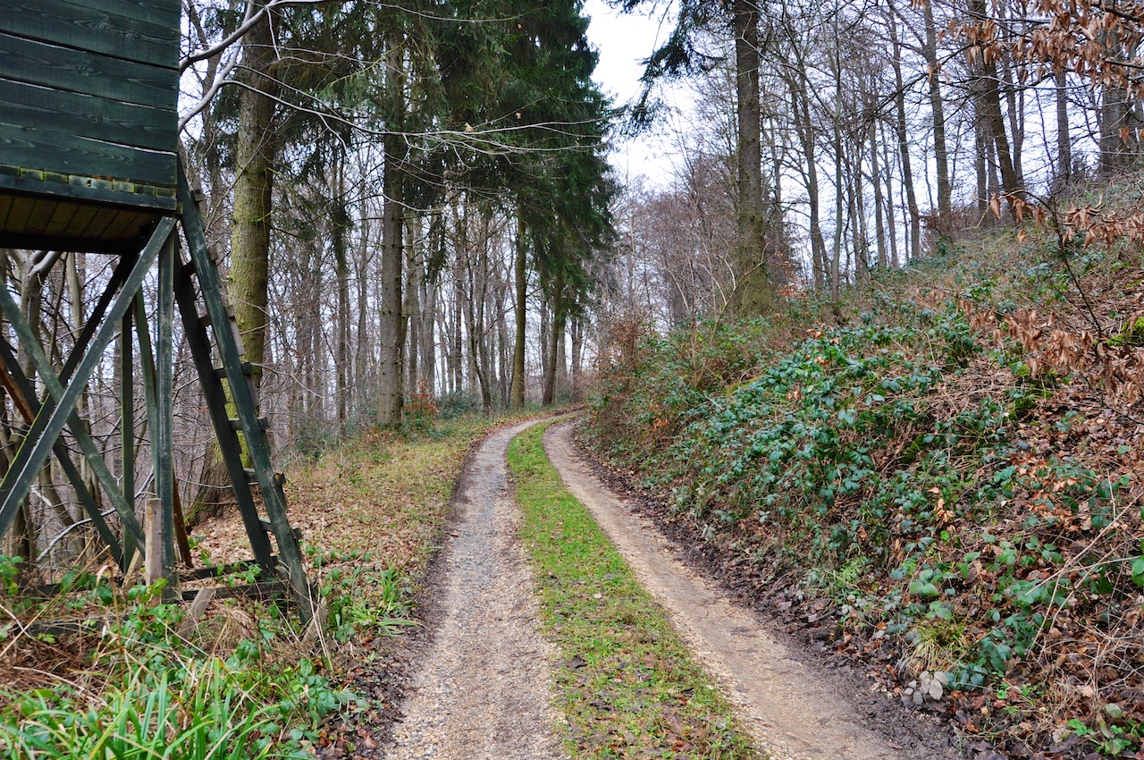 CalmuthTal (Remagen) GPS Wanderatlas