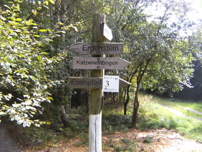 Von Katzenelnbogen zum Ergenstein (Taunus) | GPS Wanderatlas