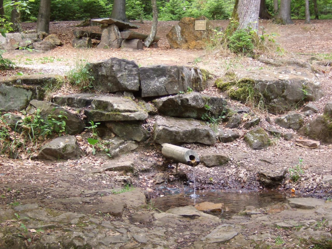 Von Schnabelwaid durch den Lindenhardter Forst zur Rotmainquelle und