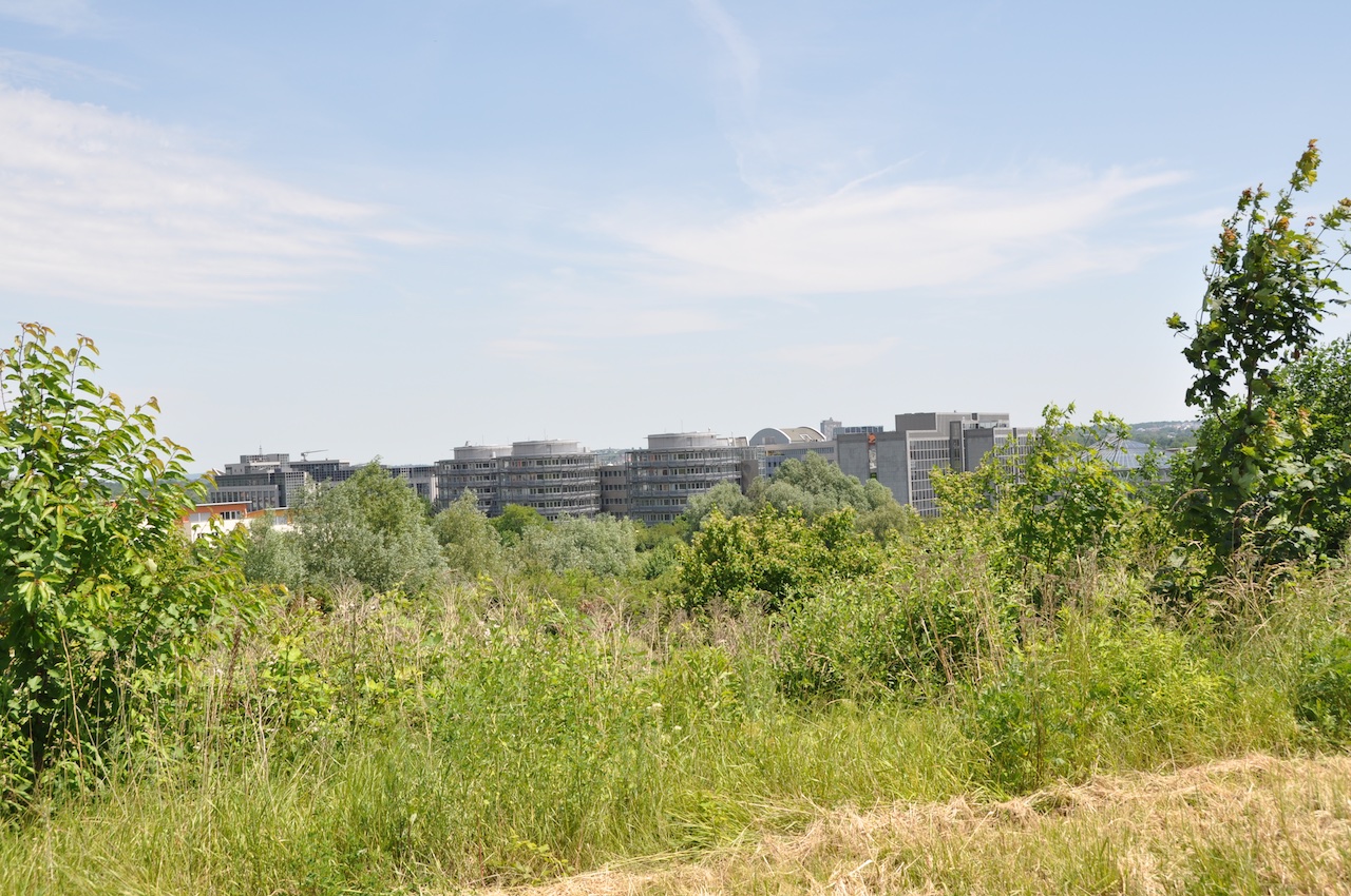 FrankfurtHeddernheim GPS Wanderatlas