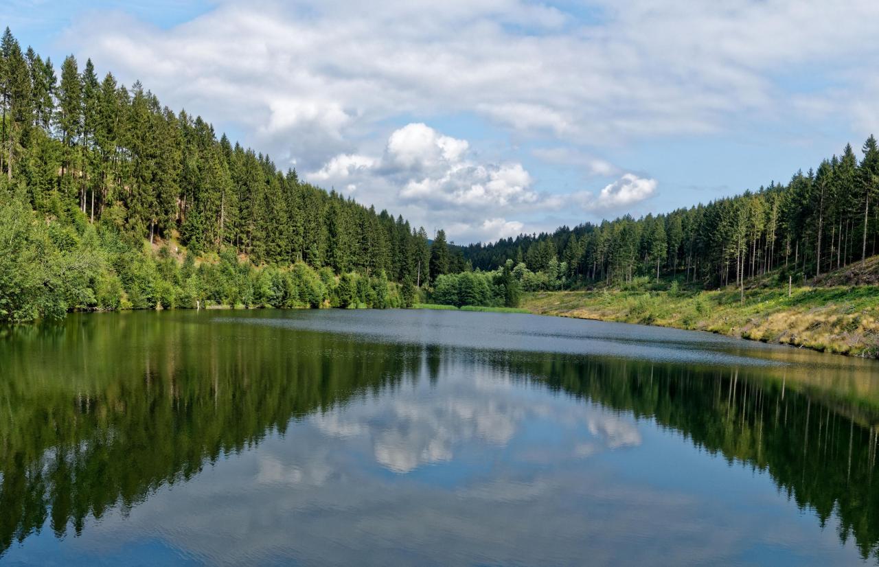 Johanneser Bergwiesen und Oberharzer Teiche (ClausthalZellerfeld