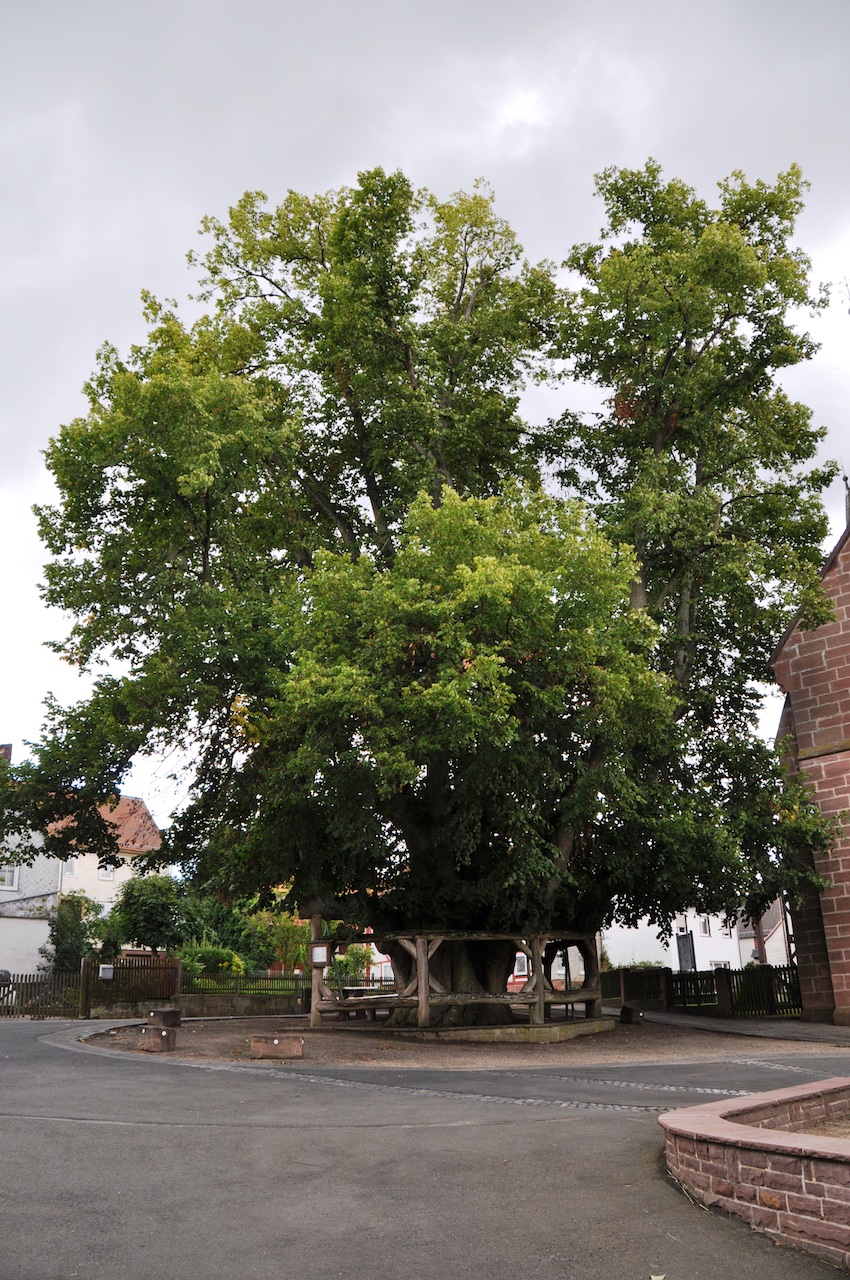 Himmelsberg (Kirchhain) GPS Wanderatlas