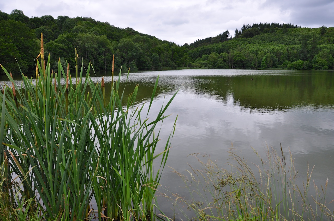 Immerath GPS Wanderatlas