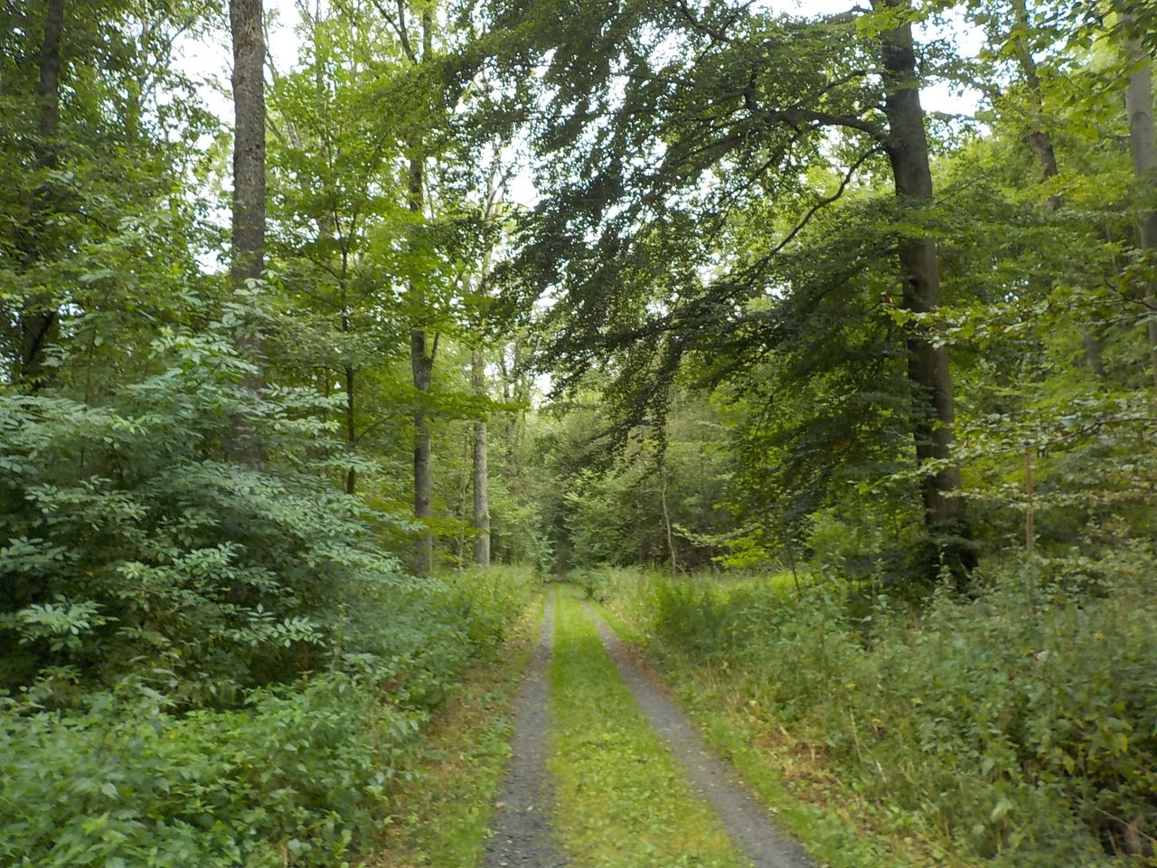 Rund um Nisterberg im Hohen Westerwald GPS Wanderatlas