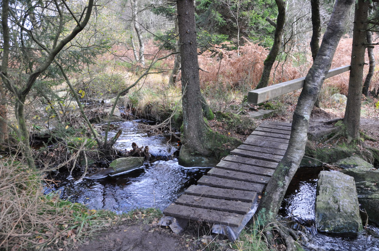 87+ Hohes Venn Wandern Parkplatz thecoolretrolife