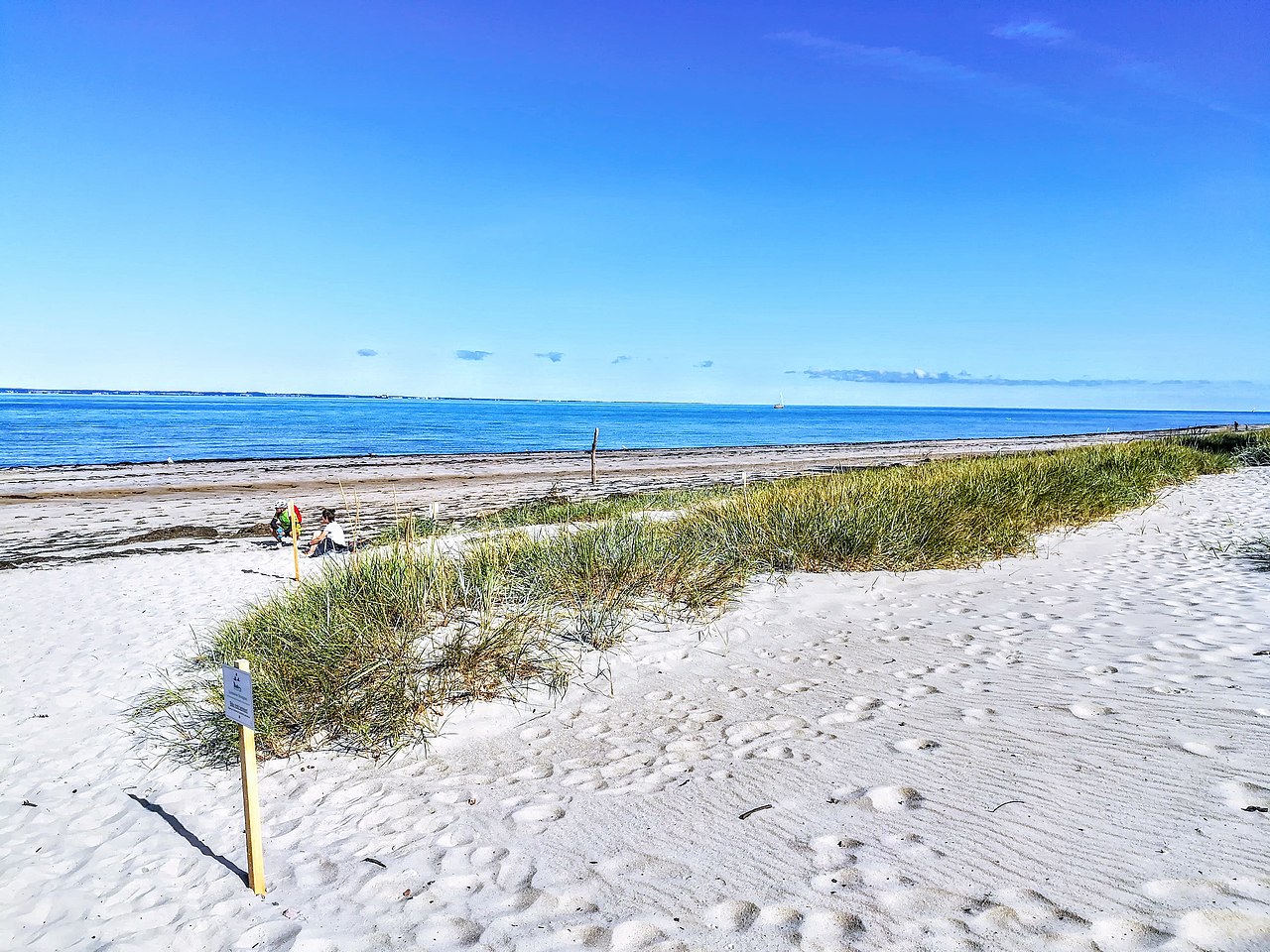 Küstenlandschaft Zwischen Priwall Und Barendorf Mit Harkenbäkniederung Küstenwanderung zwischen Priwall und Barendorf | GPS Wanderatlas