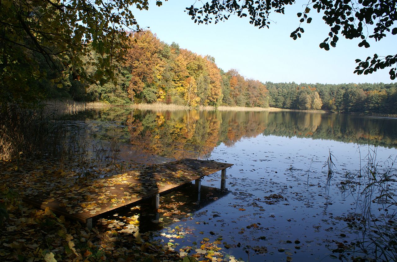 Bernau bei Berlin Rundtour mit Welterbe, Wald und Wasser GPS Wanderatlas