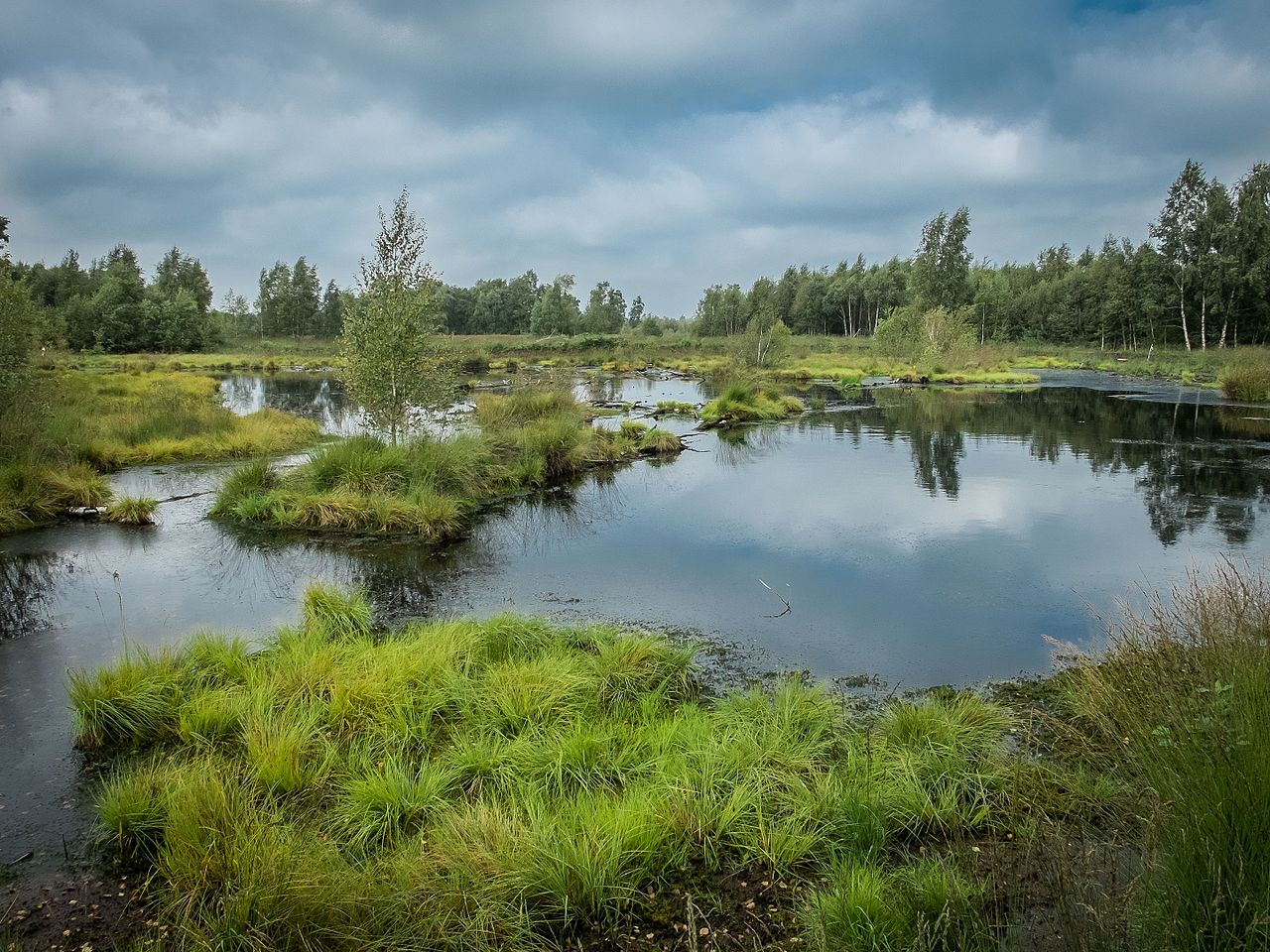 Rundtour ins Diepholzer Moor | GPS Wanderatlas