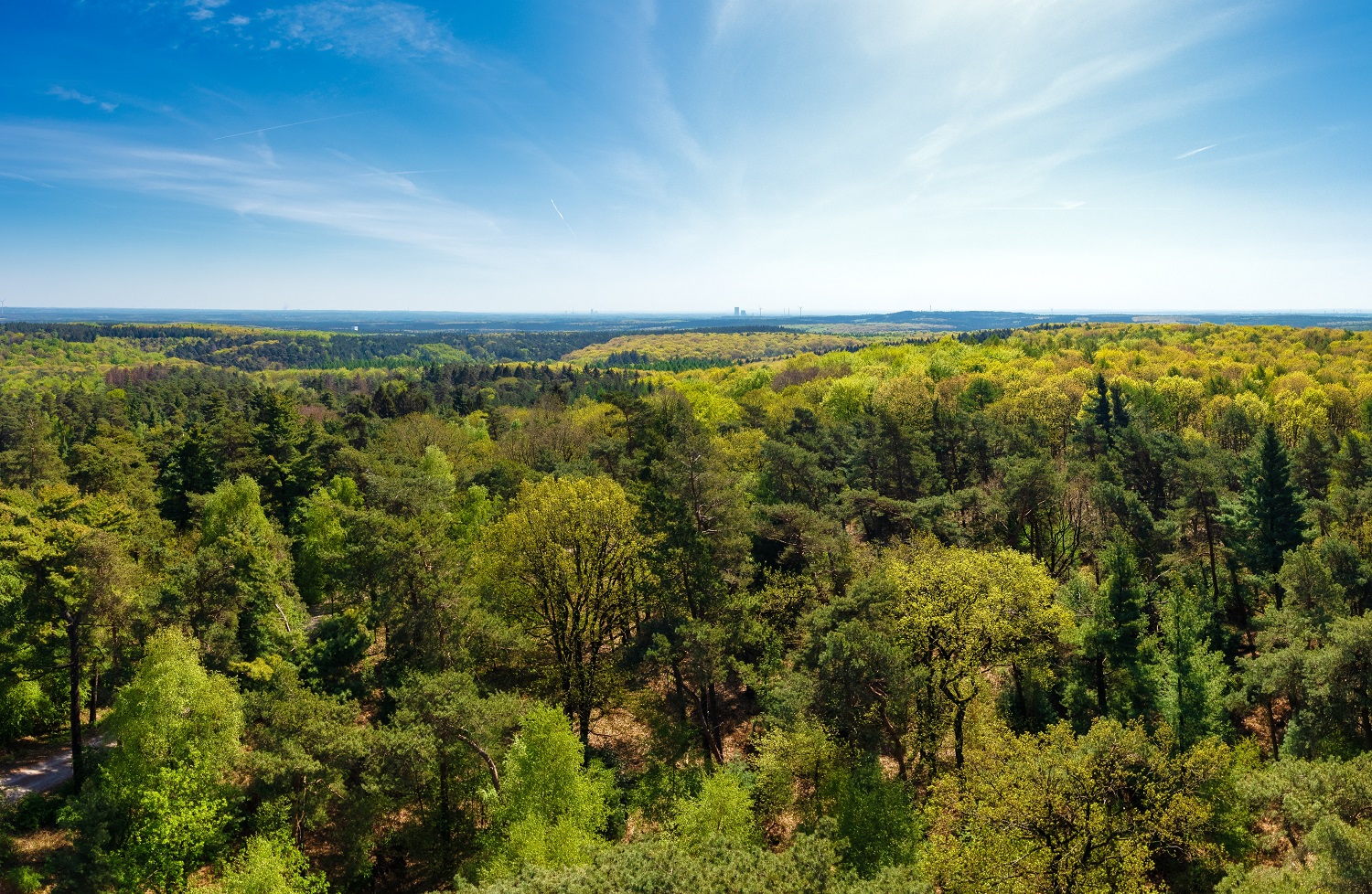 Hohe Mark Steig Gps Wanderatlas