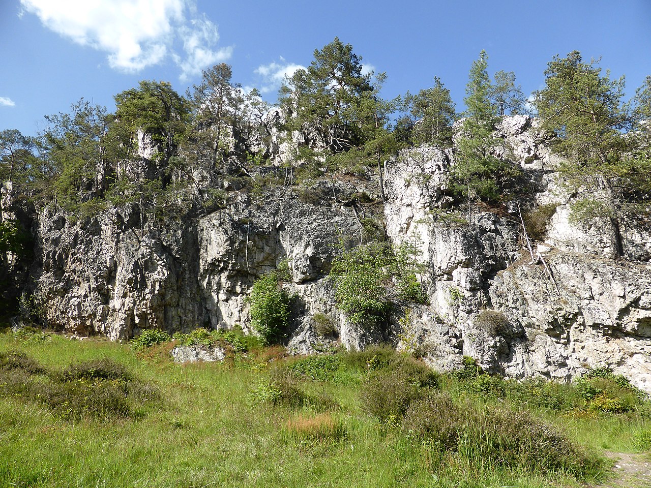 Wanderung am Viechtacher Pfahl (Viechtach Rundweg Nr. 4) GPS Wanderatlas