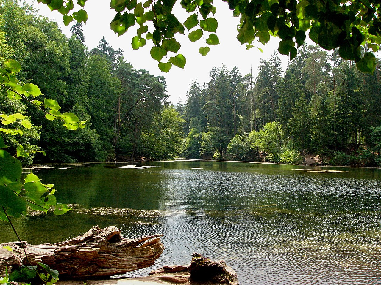 Pivitker Wasserweg (Donoperteich und Hasselbachstausee) GPS Wanderatlas