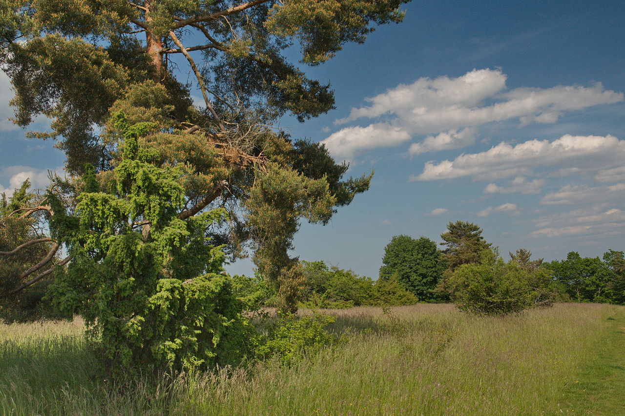 Landtour Venusberg GPS Wanderatlas