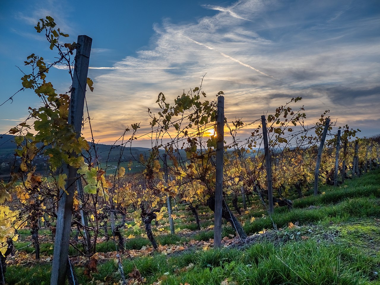 Dreiorama Weinpanorama (Michelau im Steigerwald) GPS Wanderatlas