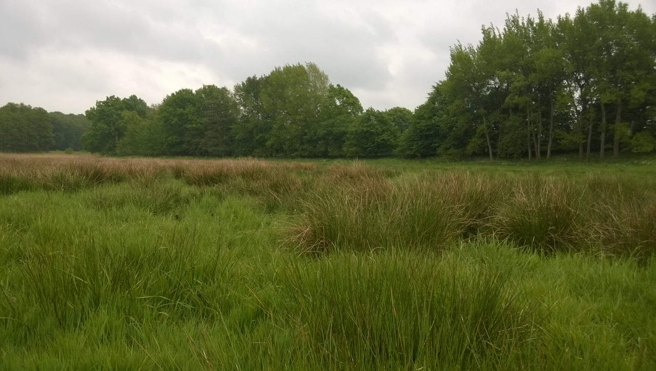 Von Nusse zum Pantener Moorweiher GPS Wanderatlas