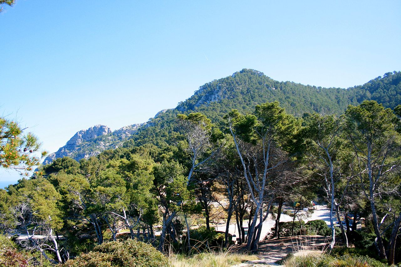 Tour am Cap des Pinar (zwischen den Buchten von Pollença und Alcúdia) GPS Wanderatlas Tour am Cap des Pinar (zwischen den Buchten von Pollença und Alcúdia) GPS Wanderatlas