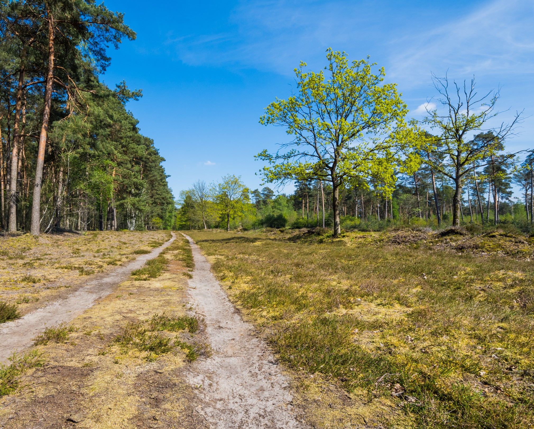 Terra Track Grasmoor GPS Wanderatlas