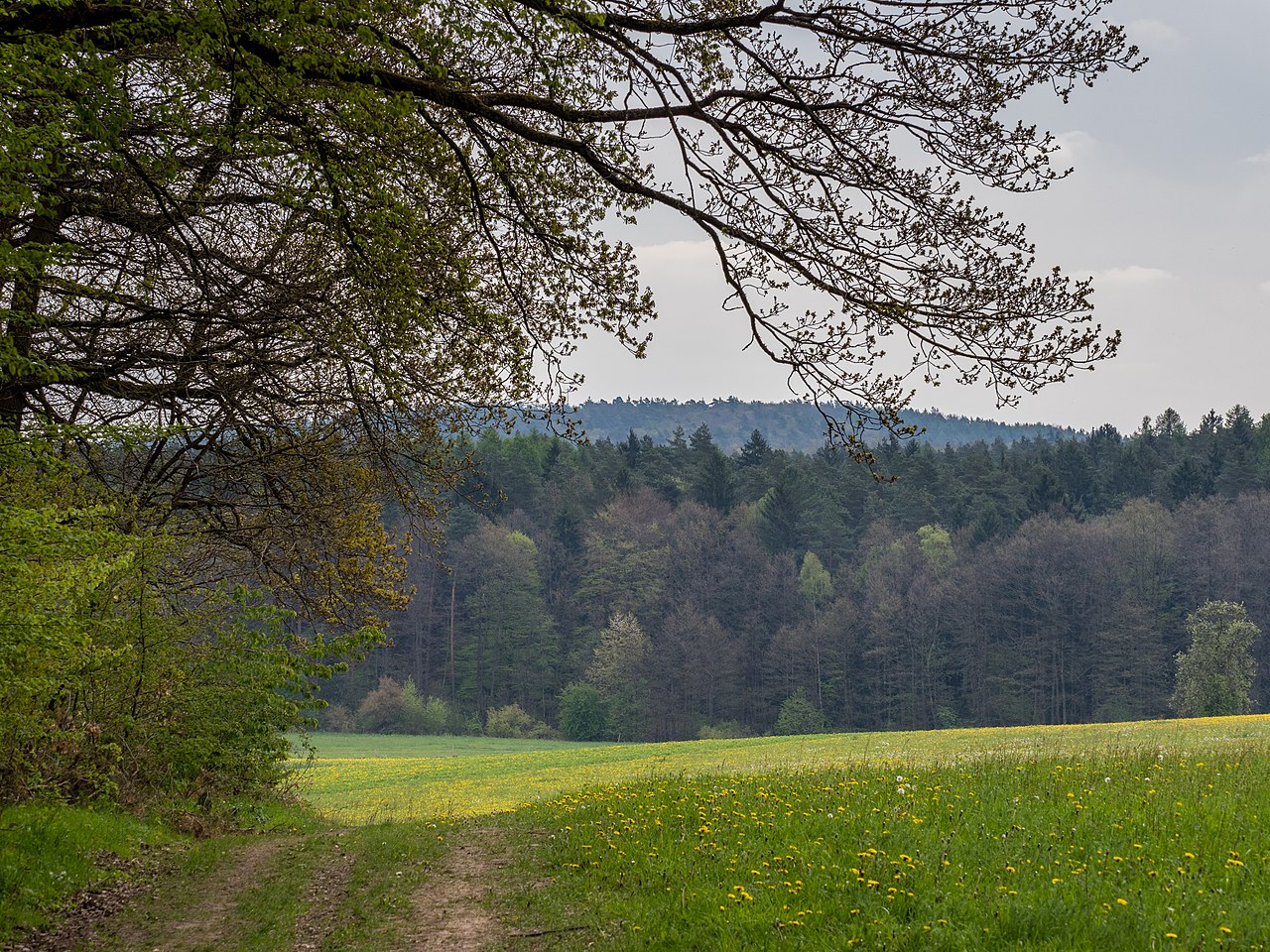 michelsberger-wald-wanderung-gps-wanderatlas