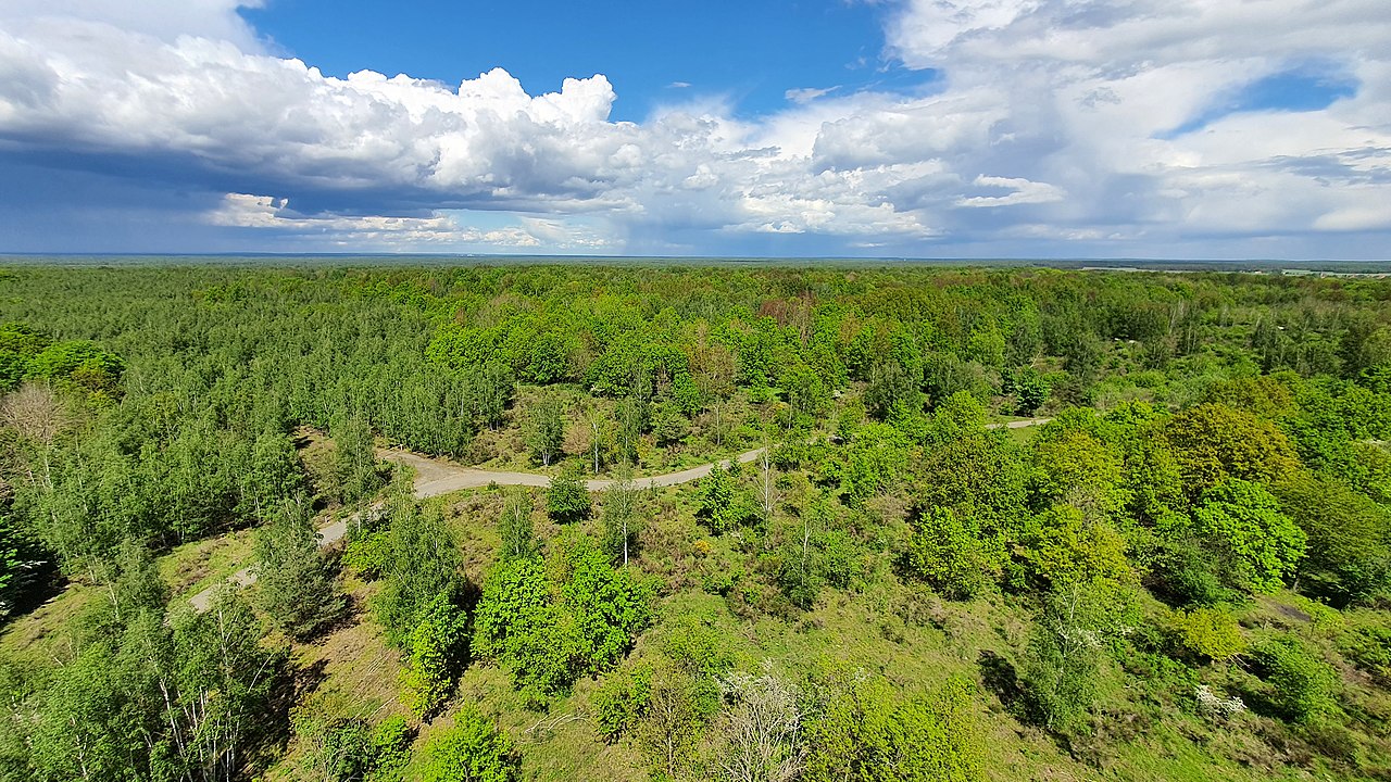 Königsbrücker Heide Rundwanderung GPS Wanderatlas
