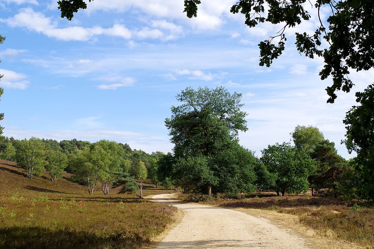 Heideschleife Fischbeker Heide | GPS Wanderatlas