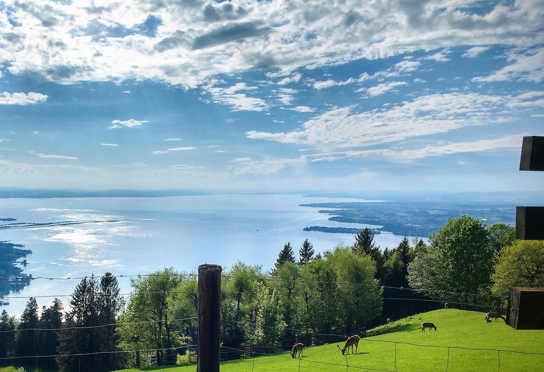 Naturschauspiel Am Bodensee: Die 5 Besten Spots, Die Sie Kennen Müssen. - 7xf3r3i
