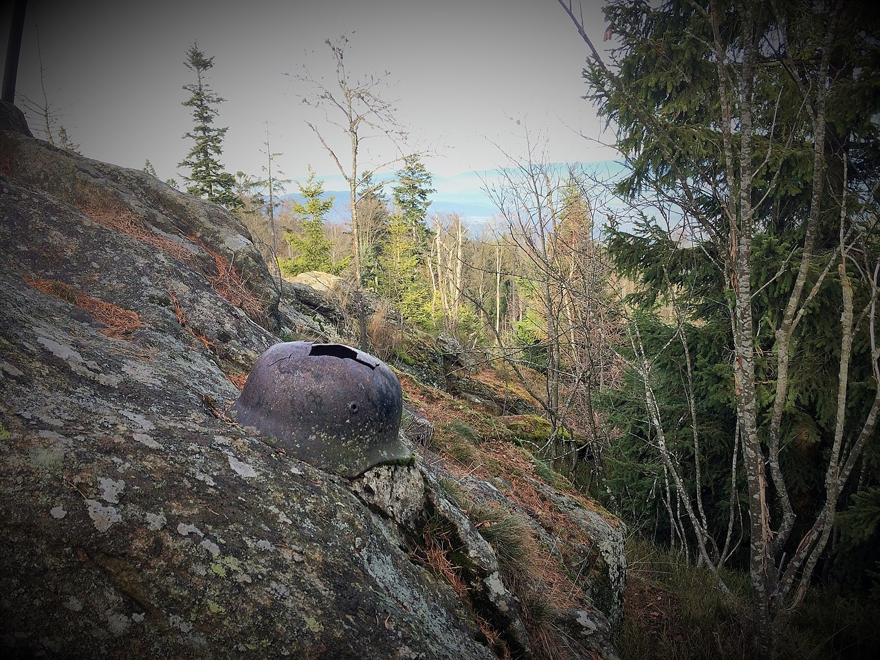 Wanderung zum Vogelsang im Bayerischen Wald GPS Wanderatlas