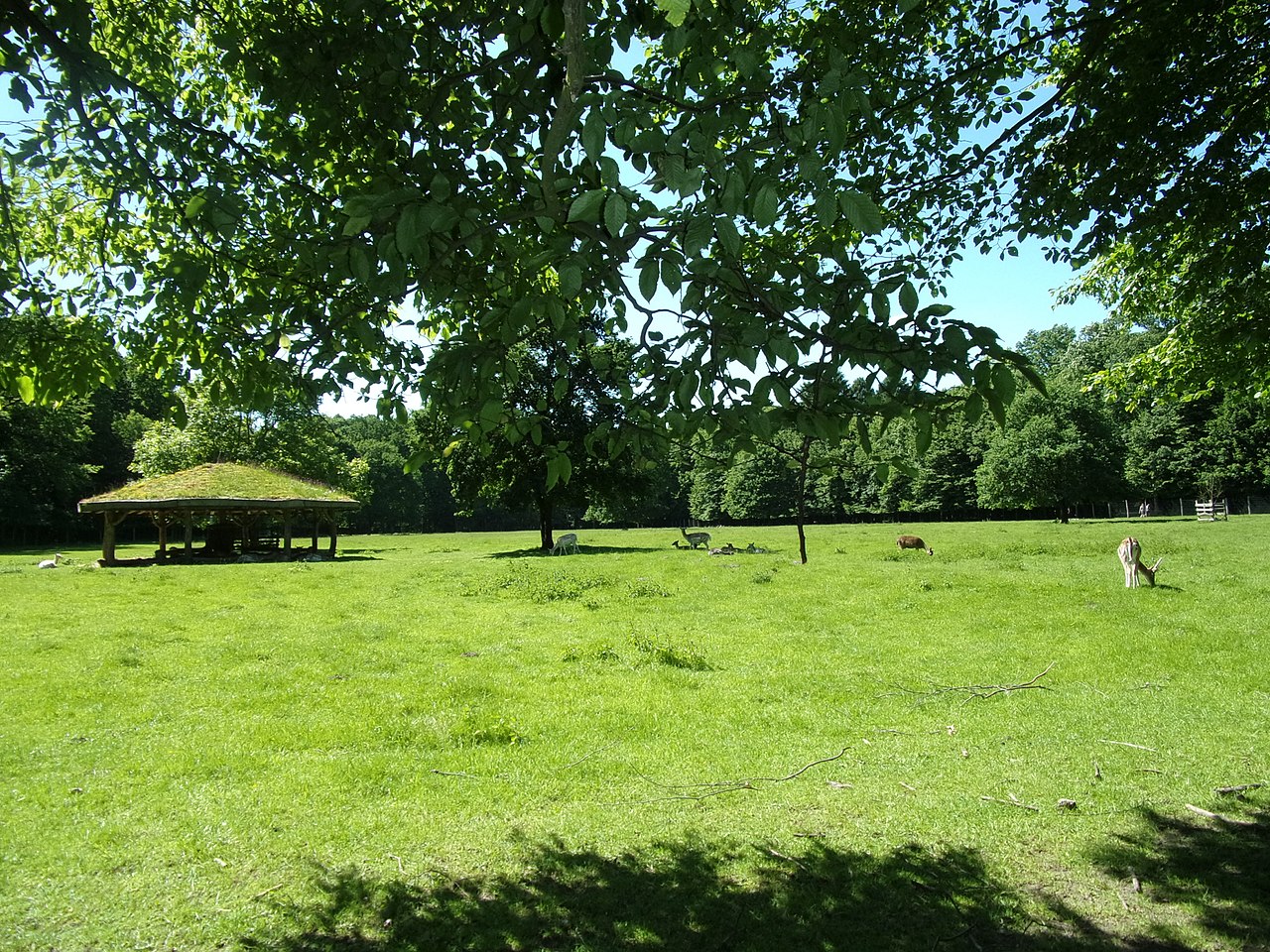 Rundtour vom Niendorfer Markt ins Niendorfer Gehege GPS Wanderatlas