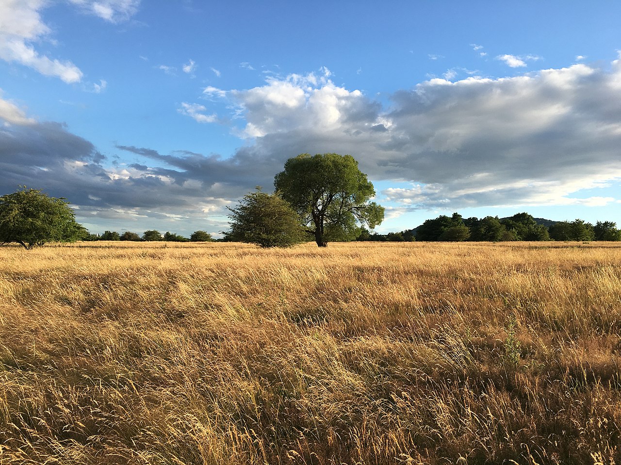 DöncheRundwanderung GPS Wanderatlas
