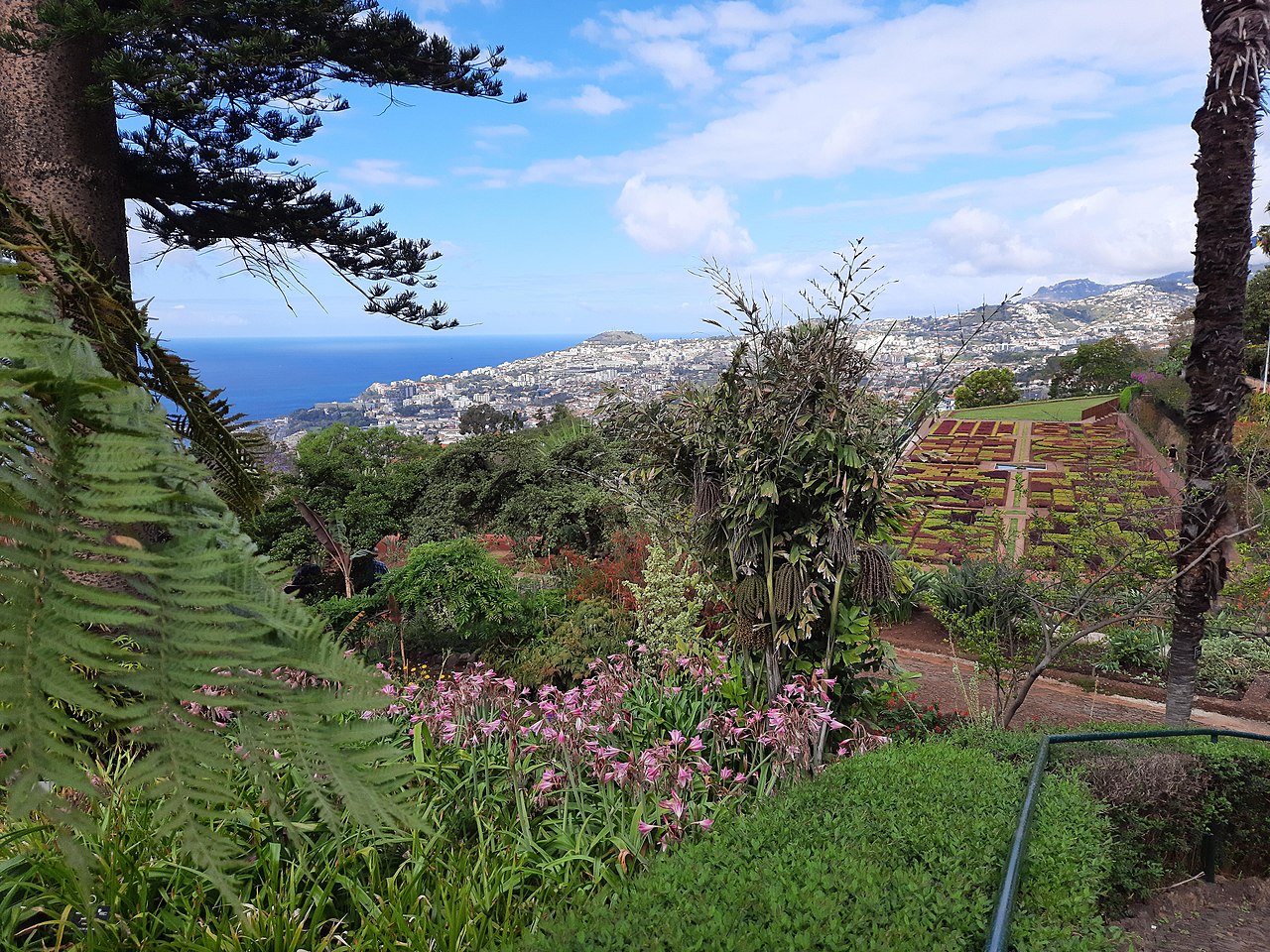 Vom Botanischen Garten zum Hafen von Funchal GPS Wanderatlas