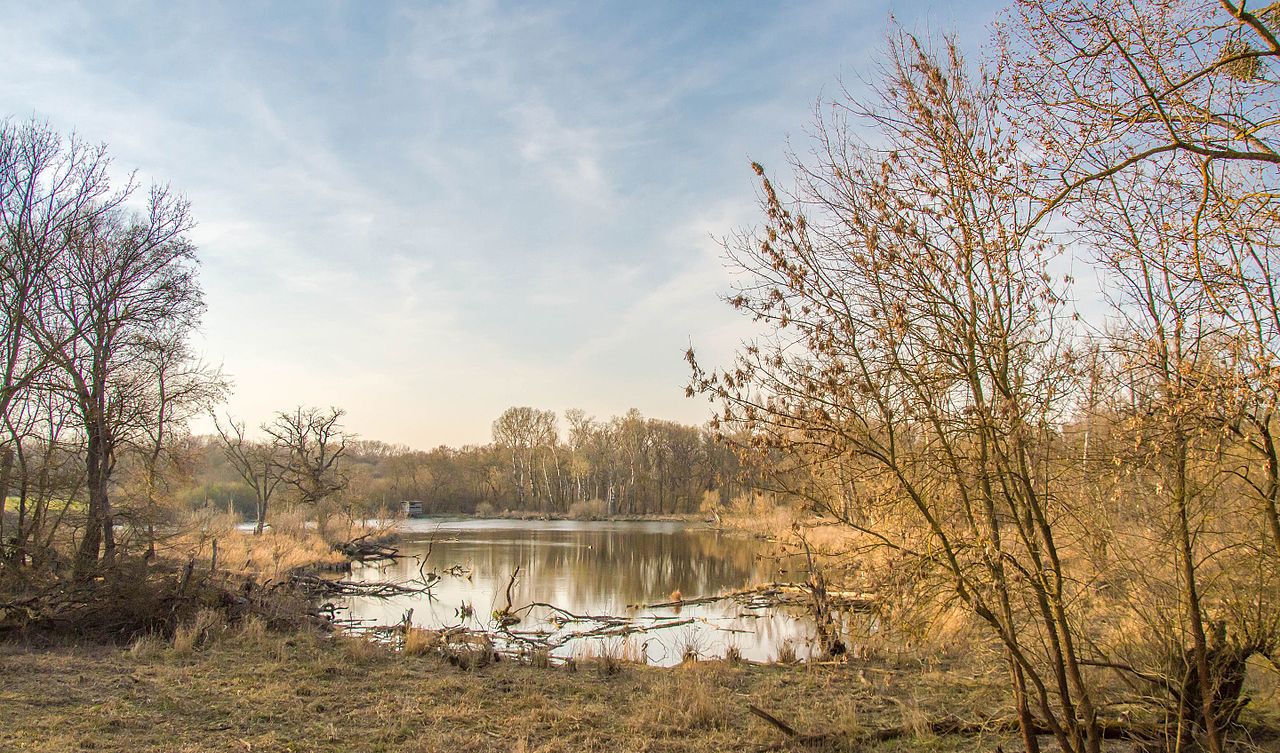 Natura Trail Marchauen bei Marchegg GPS Wanderatlas
