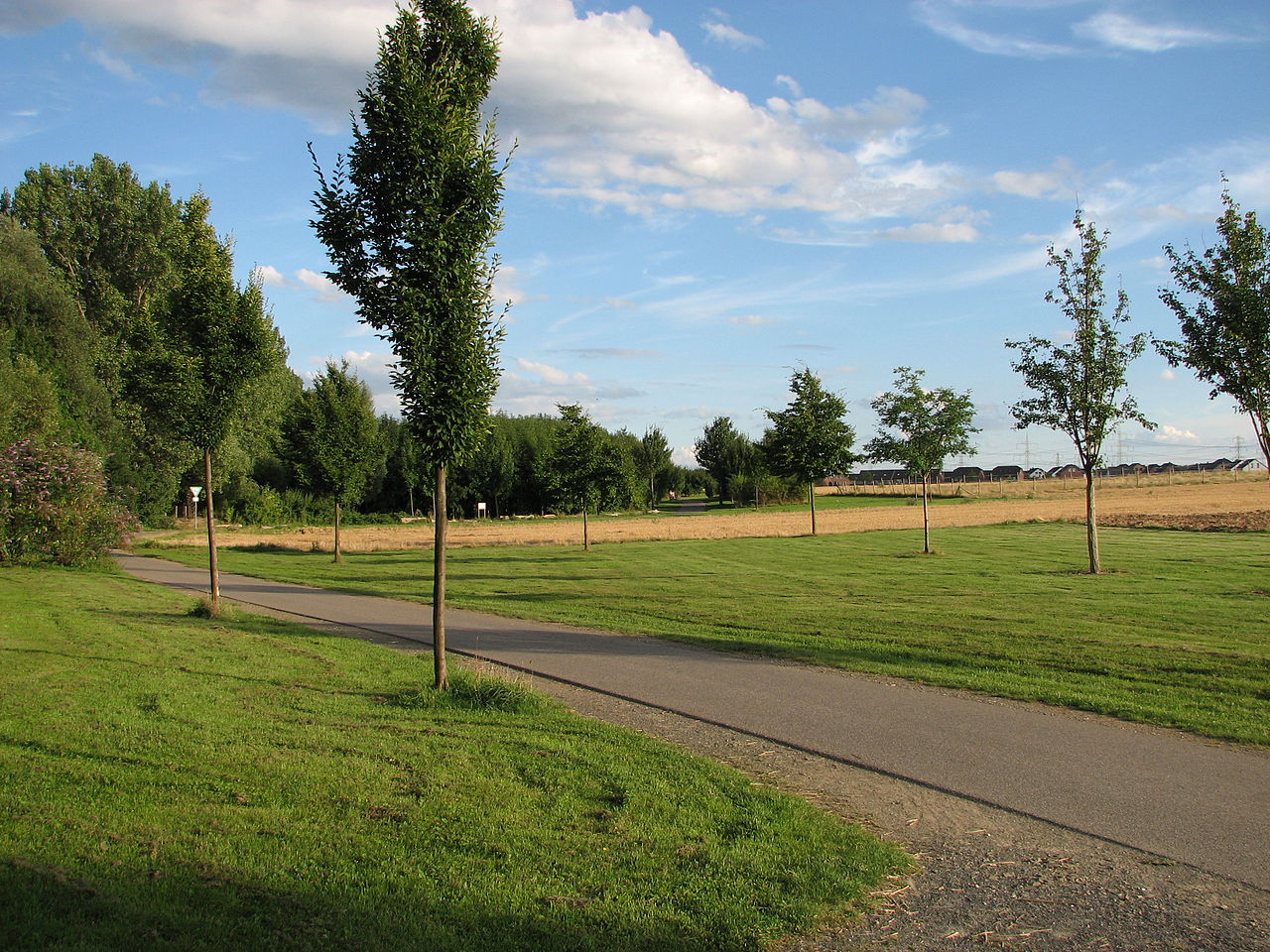 Spaziergang vom Rheinpark zum Entenfang (Wesseling) GPS Wanderatlas