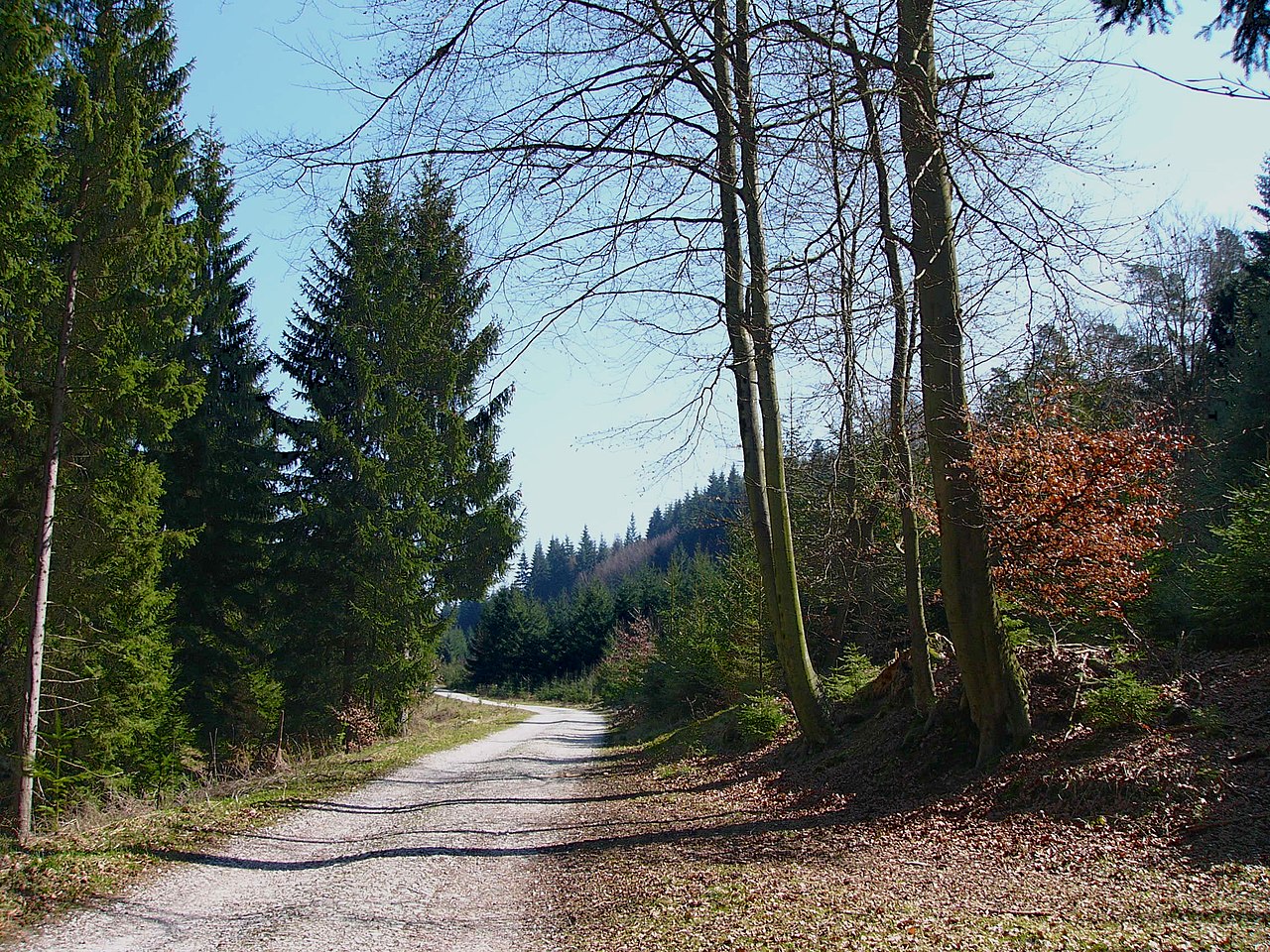 Die Senne Geheimnisse Der Natur Und Ihre Offnungszeiten Wann Ist Der Beste Zeitpunkt Fur Ihren Besuchfeed