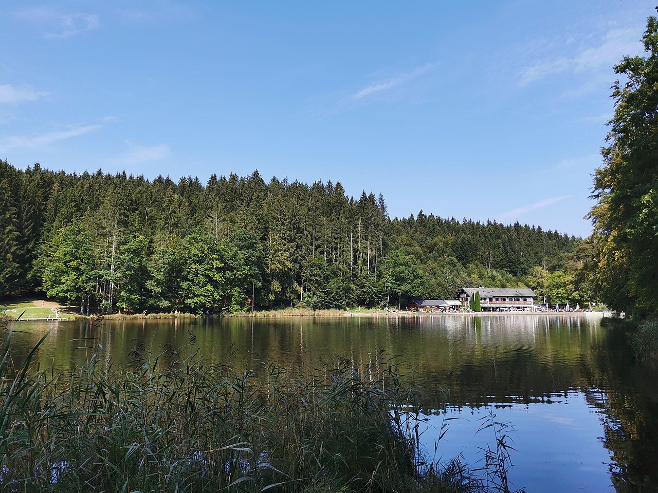 Vom Deininger Weiher zum Aufhofener Weiher GPS Wanderatlas