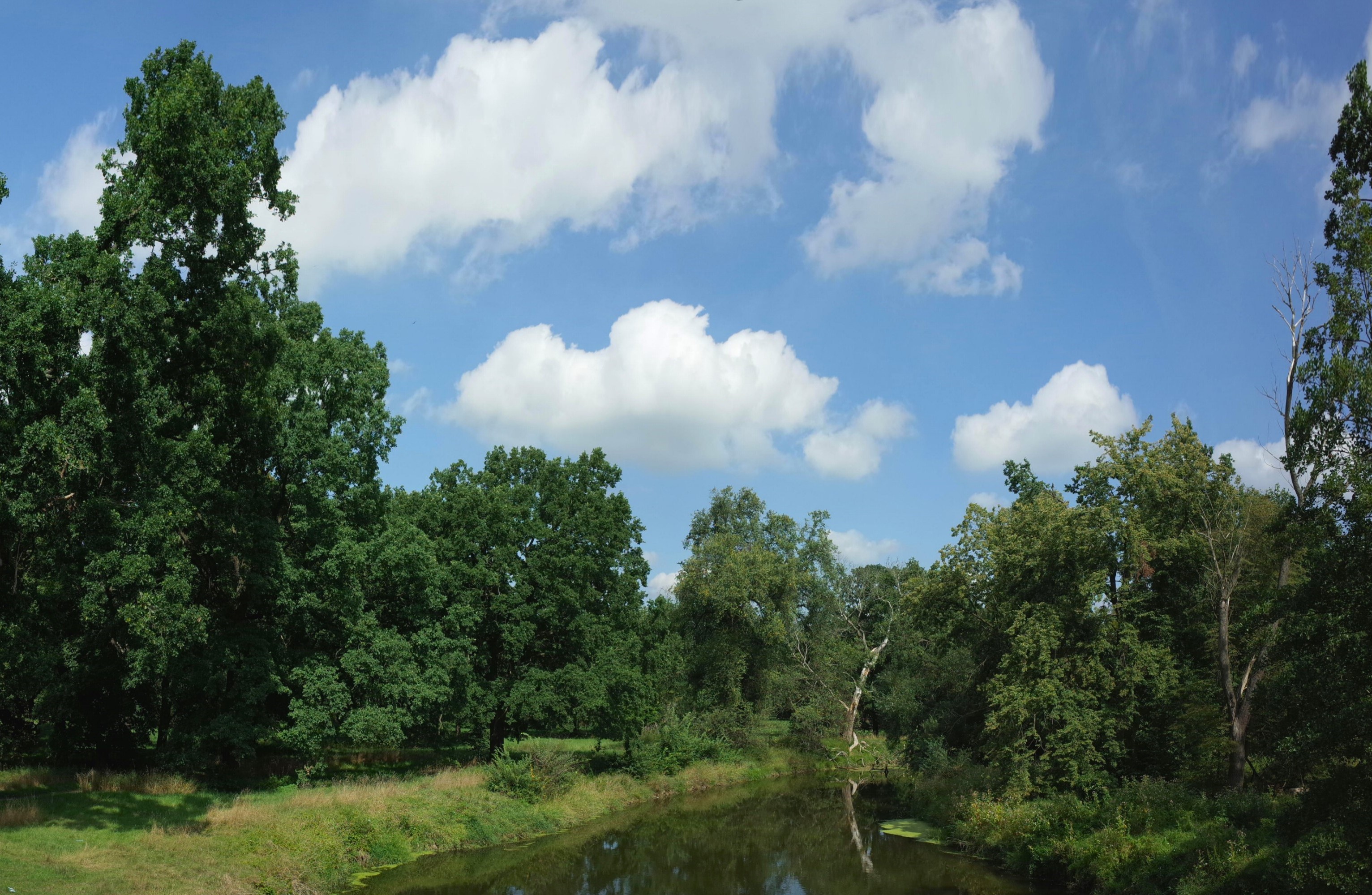 Dessau Tiergartenrunde GPS Wanderatlas
