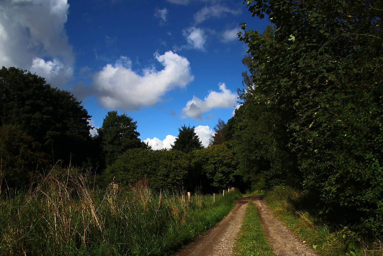 Wanderung durch die BidstrupWälder im Nationalpark Skjoldungernes Land