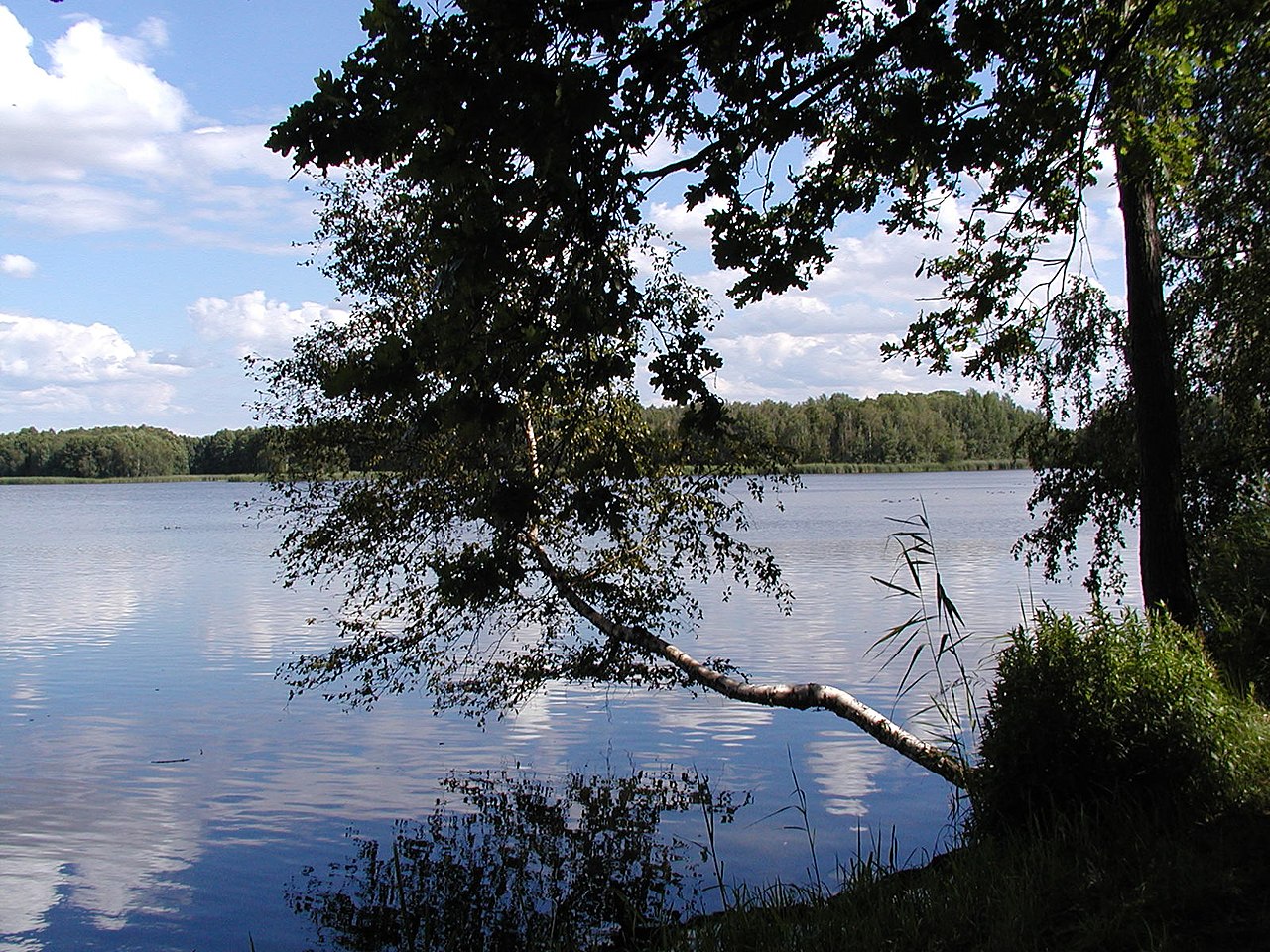 Rund um den Neuendorfer Teich (Peitzer Teiche) GPS Wanderatlas