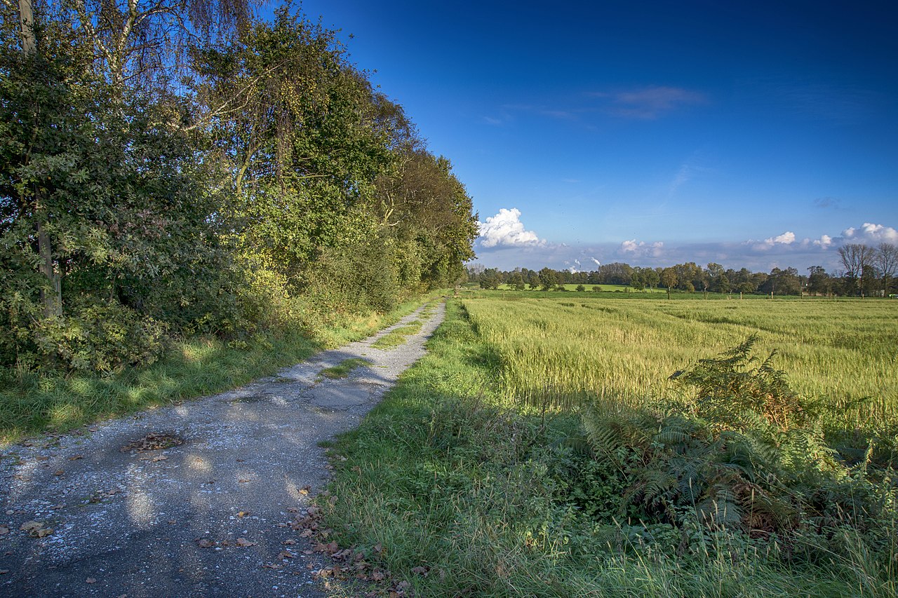 Schwarze Heide Runde (Hünxe) GPS Wanderatlas