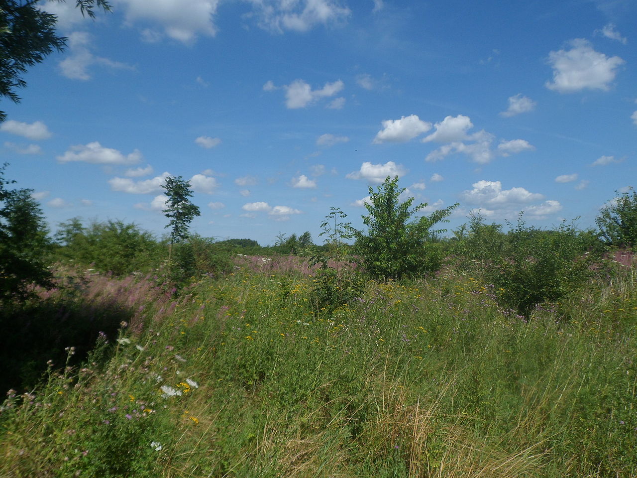 Wanderung in die Emsauen zwischen Herbrum und Vellage GPS Wanderatlas