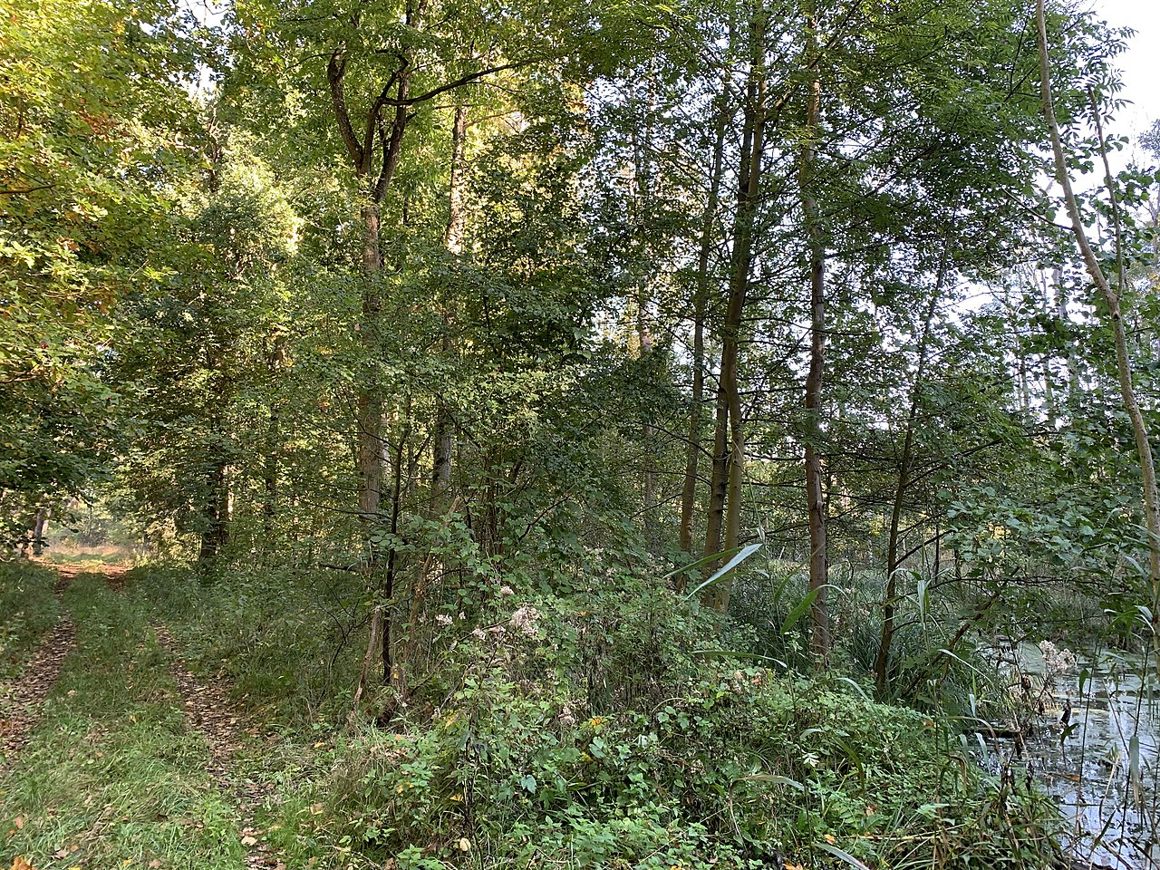 GränertRundwanderung GPS Wanderatlas