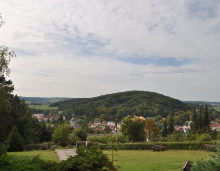 Artikelbild