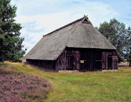 Artikelbild