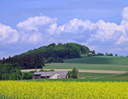 Artikelbild