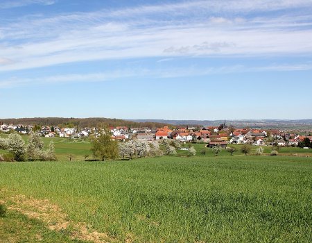 Artikelbild