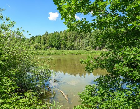 Artikelbild