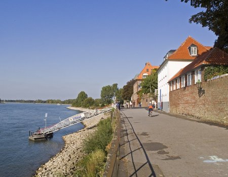 Artikelbild