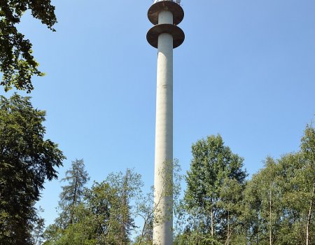 Artikelbild