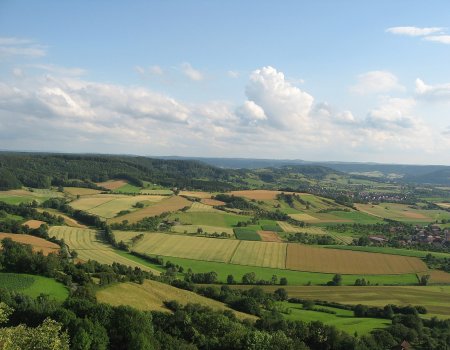Artikelbild