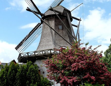 Artikelbild