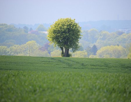 Artikelbild