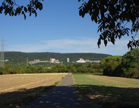 Artikelbild